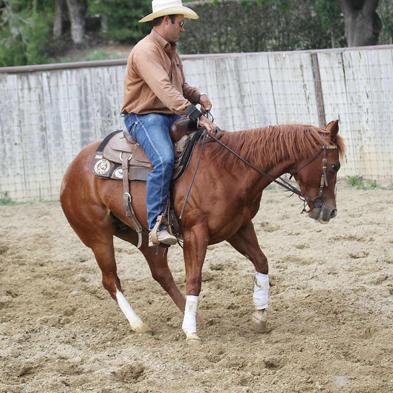 Monty Roberts Western Horse Training Flag Is Up Farms 