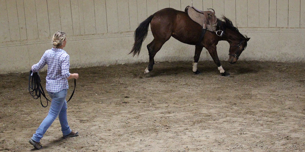 Monty Roberts Advanced Course of Horsemanship