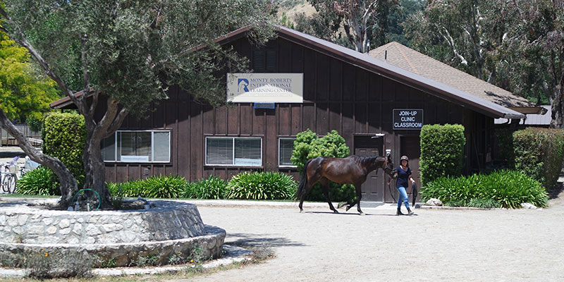 Horsemanship classes at Monty Roberts International Learning Center