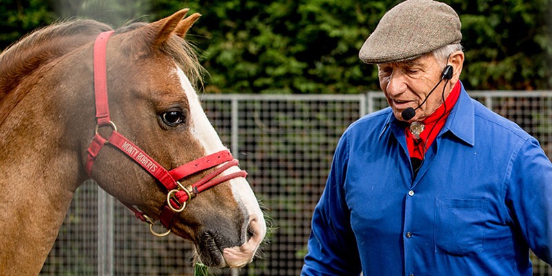 Monty Roberts International Learning Center - Monty Roberts Join-Up with a horse