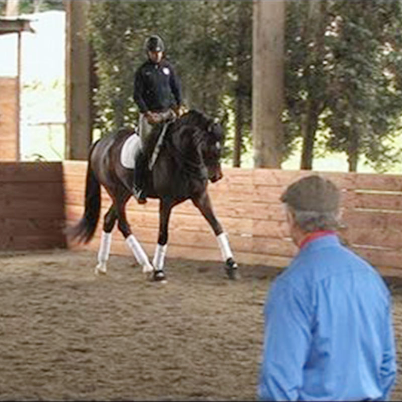 Monty Roberts Online University lesson - Mindful Dressage with Steffen Peters