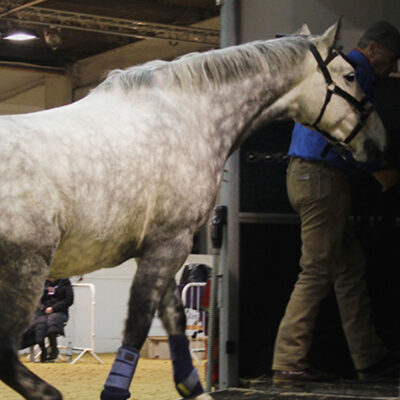 Monty-Roberts-Online-University-5 Monty Roberts Online University - trailer loading a spooky horse