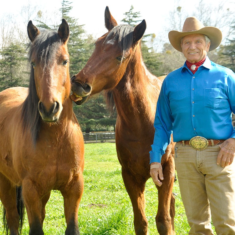 Monty Roberts Horse Sense and Healing with Veterans