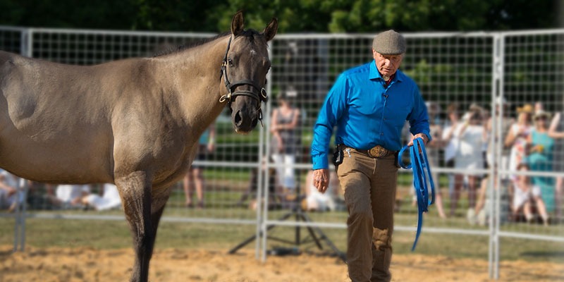 Online Lessons - Monty Roberts Online University