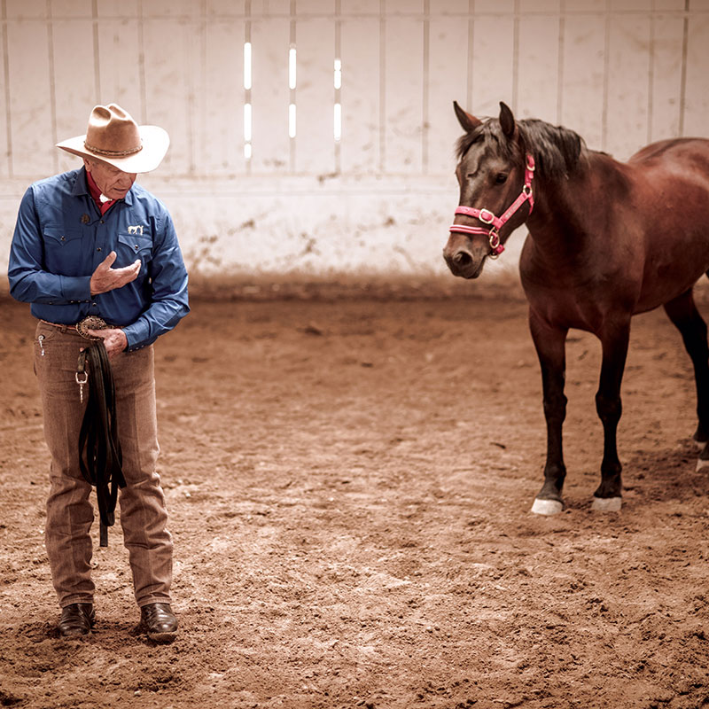 The Moment of Join-Up - Monty Roberts