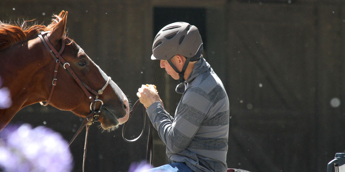 horse reaching to take food - hand feeding causes biting