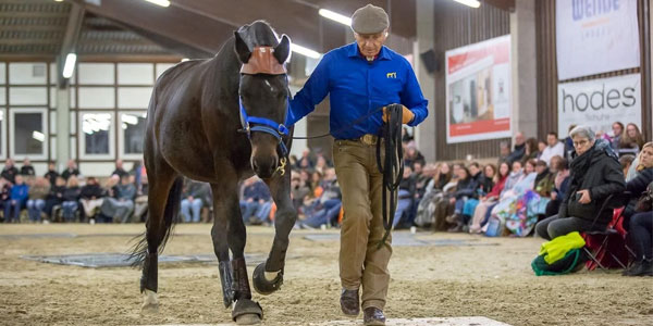 Personal Training by Monty Roberts