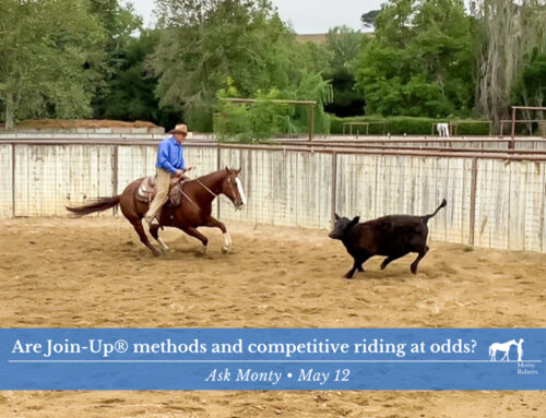 Are Join-Up methods and competitive riding at odds?