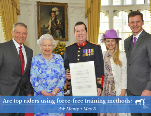 Are top riders using force-free training?