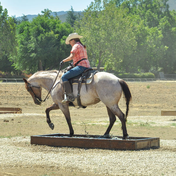 Join-Up International & Monty Roberts Non-Profit Program founders - Monty Roberts, Pat Roberts, Debbie Loucks