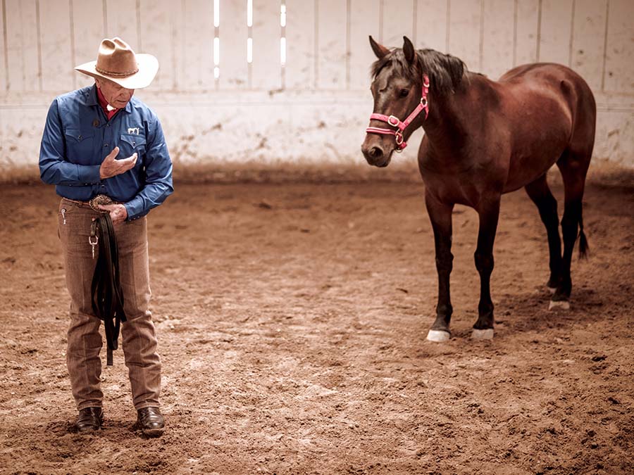 USA Today The queen and her American cowboy