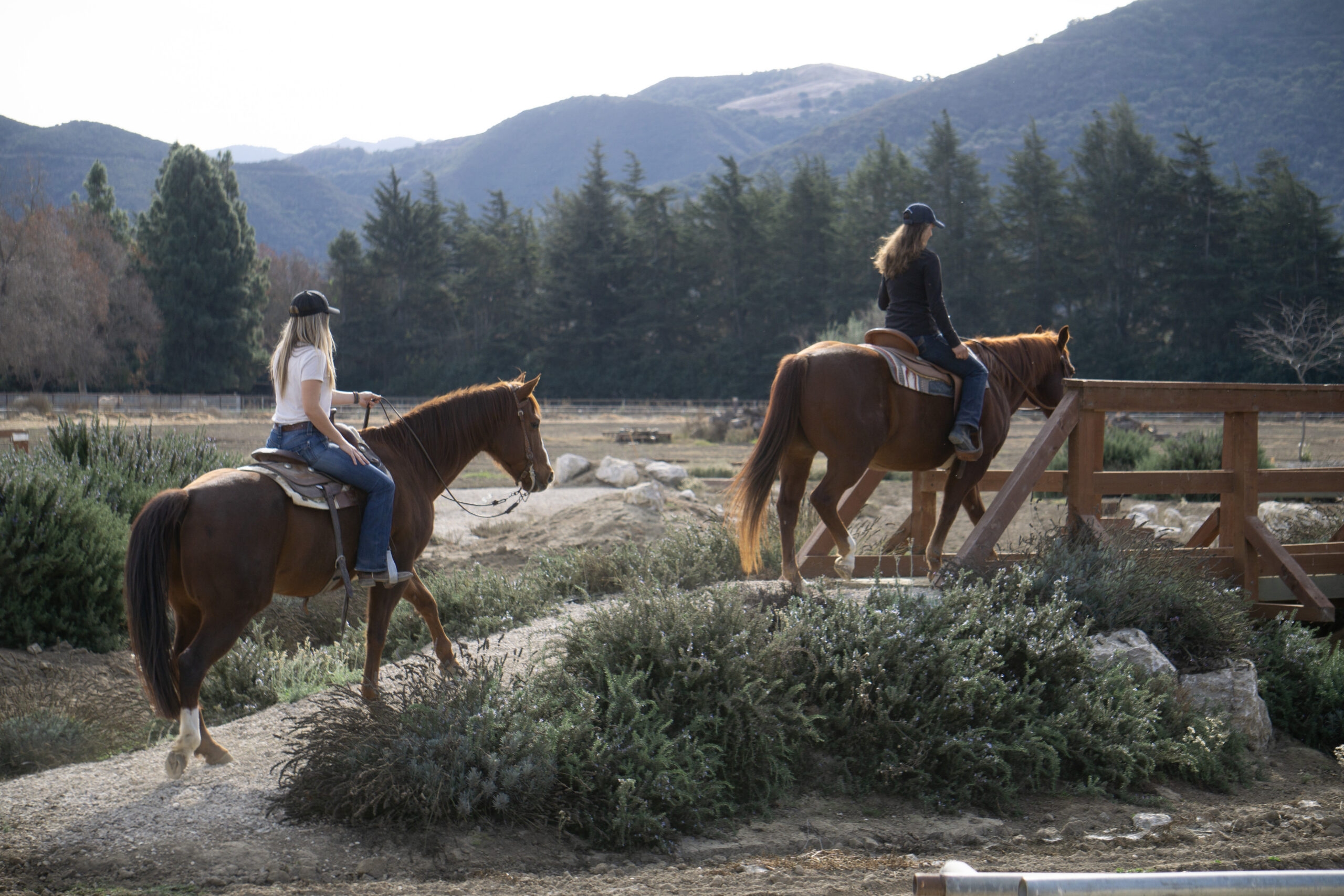 Mountain Trail Playdate at California Horse Center featuring riders navigating natural trail obstacles in a guided horsemanship session.