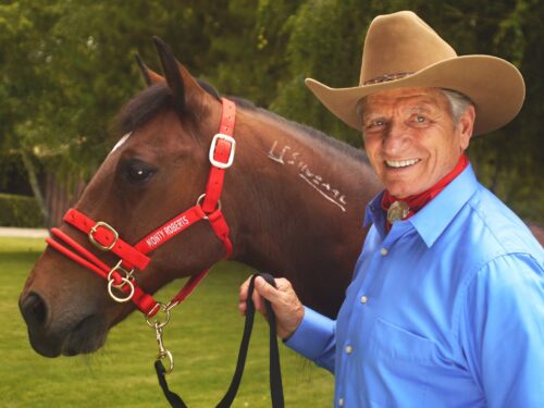 DUALLY HALTERS