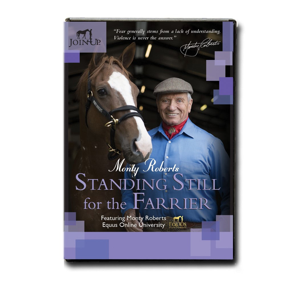 DVD: STANDING STILL FOR THE FARRIER