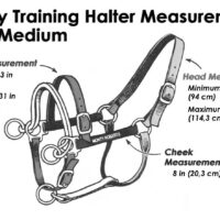 DUALLY TRAINING HALTER BLACK MEDIUM