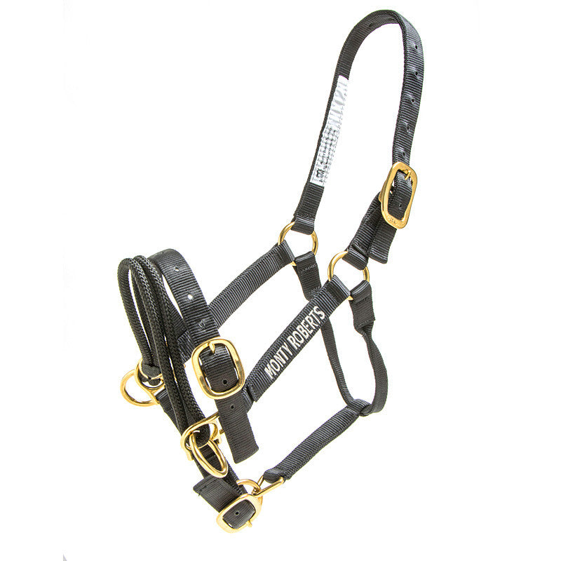 DUALLY TRAINING HALTER BLACK MEDIUM