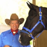 DUALLY TRAINING HALTER BLUE LARGE