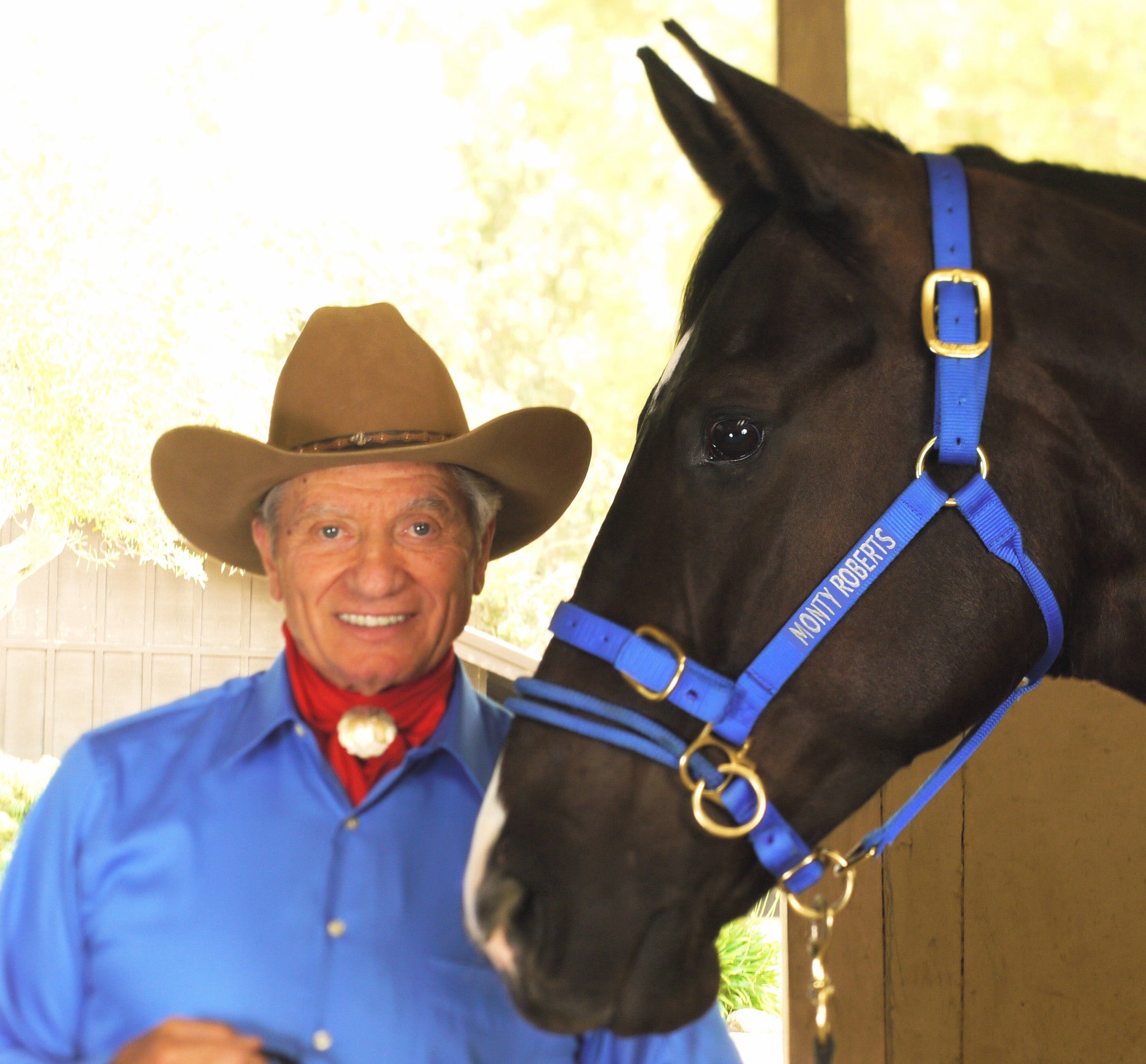DUALLY TRAINING HALTER BLUE LARGE