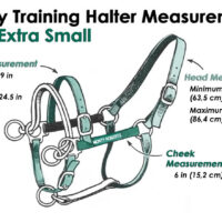 DUALLY TRAINING HALTER GREEN EXTRA SMALL