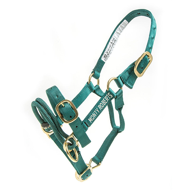 DUALLY TRAINING HALTER GREEN EXTRA SMALL