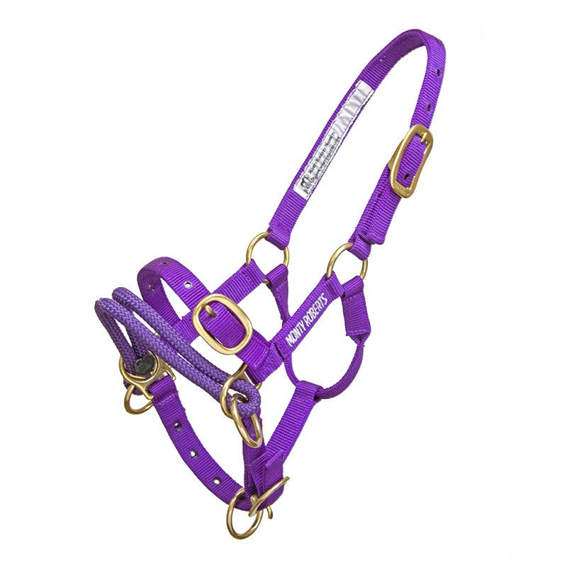 DUALLY TRAINING HALTER PURPLE MINIATURE