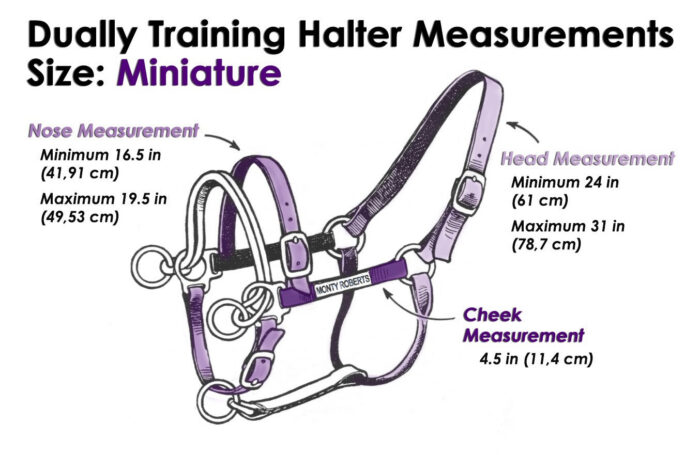 DUALLY TRAINING HALTER PURPLE MINIATURE