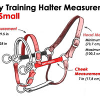 DUALLY TRAINING HALTER RED SMALL