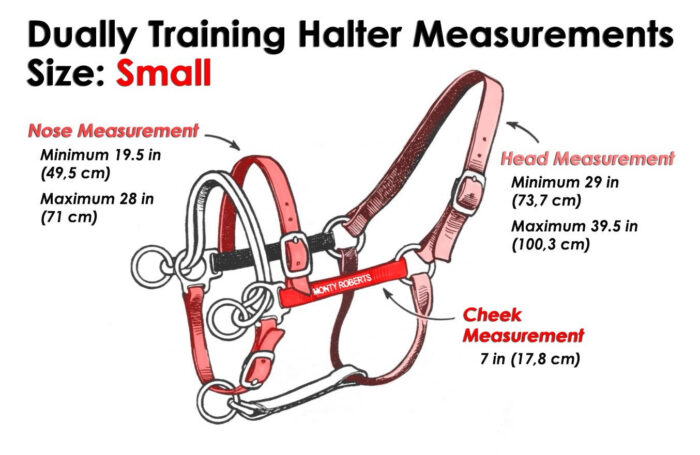 DUALLY TRAINING HALTER RED SMALL