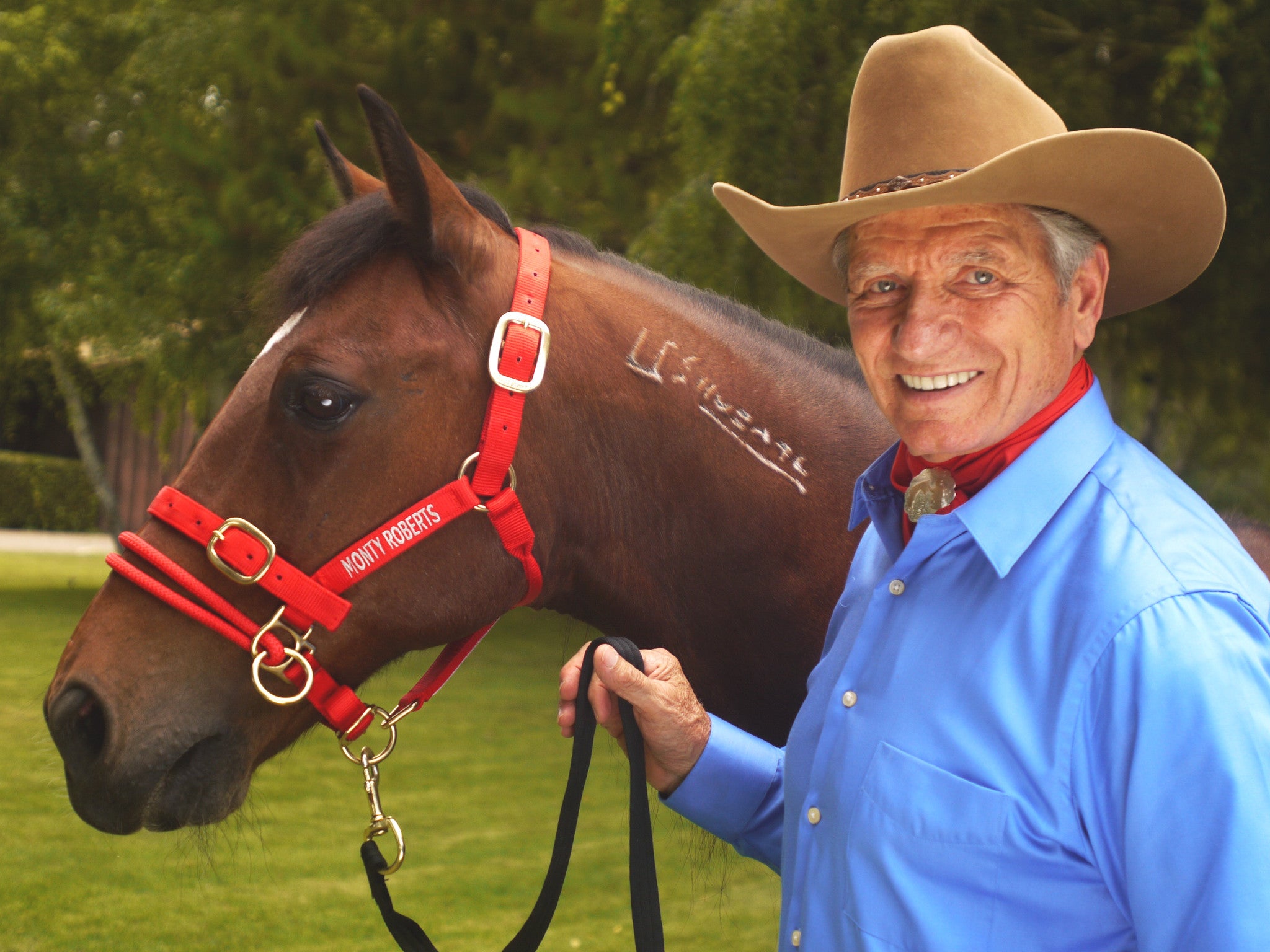 DUALLY TRAINING HALTER RED SMALL