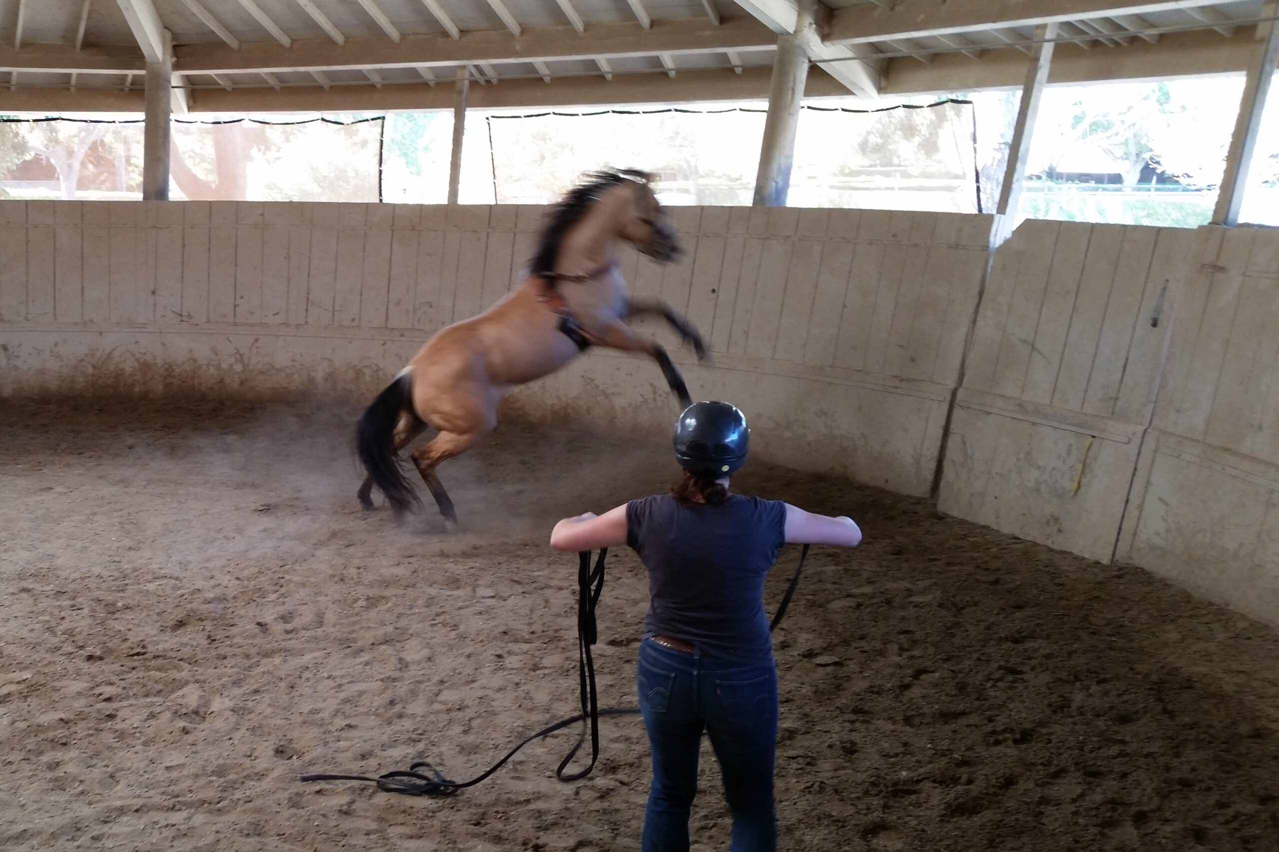 COURSES: ADVANCED COURSE EXAMS