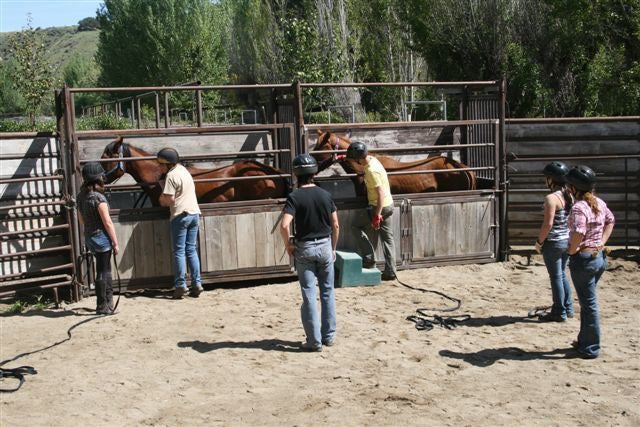 COURSES: ADVANCED COURSE EXAMS