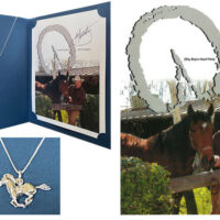 I'M SHY BOY, WILD AT HEART STERLING CHARM, NECKLACE & PRINT