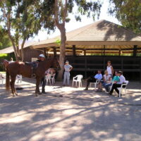 Monty Roberts Intermediate Course of Horsemanship – Course B students observing live horse training demonstration.