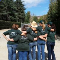 COURSES: INTRODUCTORY COURSE OF HORSEMANSHIP EXAMS: (4 DAYS)