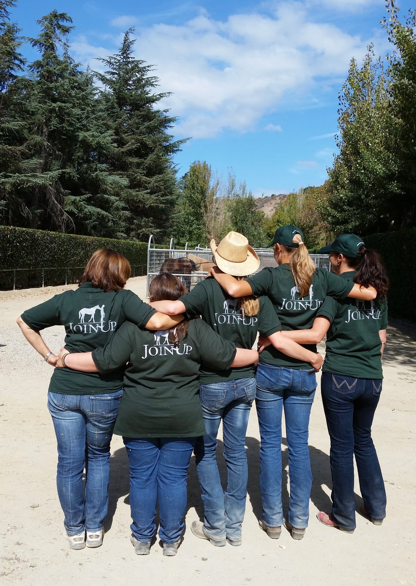 COURSES: INTRODUCTORY COURSE OF HORSEMANSHIP EXAMS: (4 DAYS)
