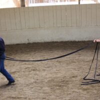 NEW Introductory Course Module 3: Safely Prepare Horses For Real-Life Situations (2 Days)