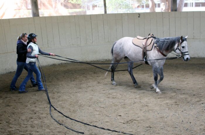 NEW Introductory Course Module 3: Safely Prepare Horses For Real-Life Situations (2 Days)