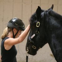 NEW Introductory Course Module 4: Join-Up Read Horse Behavior And Adjust Accordingly (2 Days)