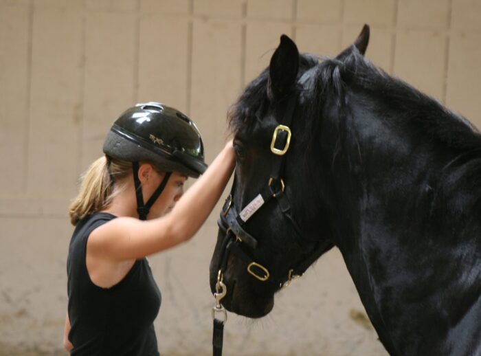 NEW Introductory Course Module 4: Join-Up Read Horse Behavior And Adjust Accordingly (2 Days)