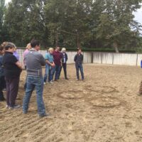 NEW Monty Roberts Introductory Course of Horsemanship (12 Days)