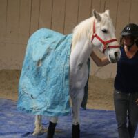 NEW Introductory Course Module 6: Effective Trailer Loading The Gentle Way (2 Days)