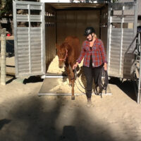 NEW Introductory Course Module 6: Effective Trailer Loading The Gentle Way (2 Days)