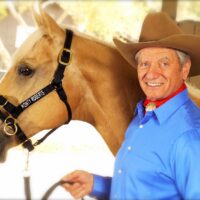 DUALLY TRAINING HALTER BLACK MEDIUM