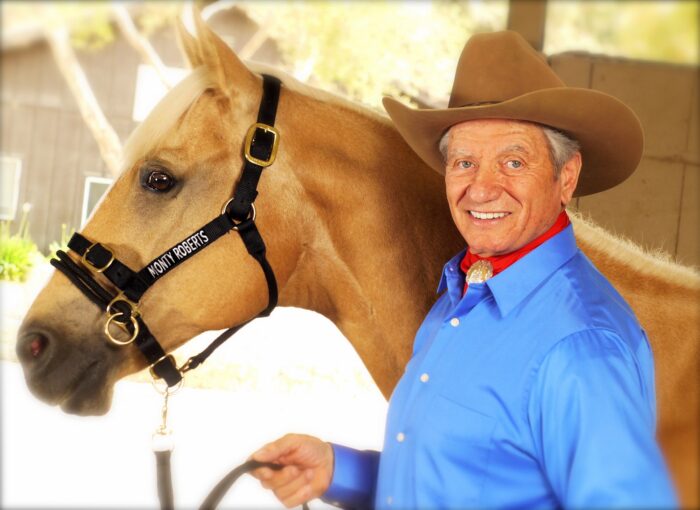 DUALLY TRAINING HALTER BLACK MEDIUM
