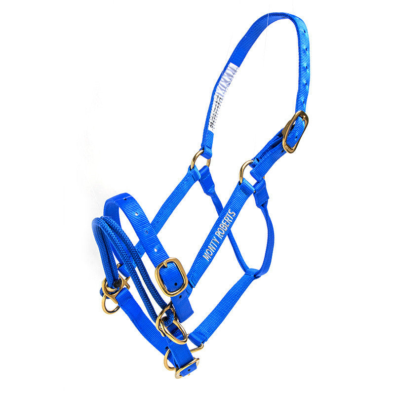 DUALLY TRAINING HALTER BLUE LARGE