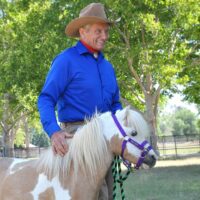 DUALLY TRAINING HALTER PURPLE MINIATURE