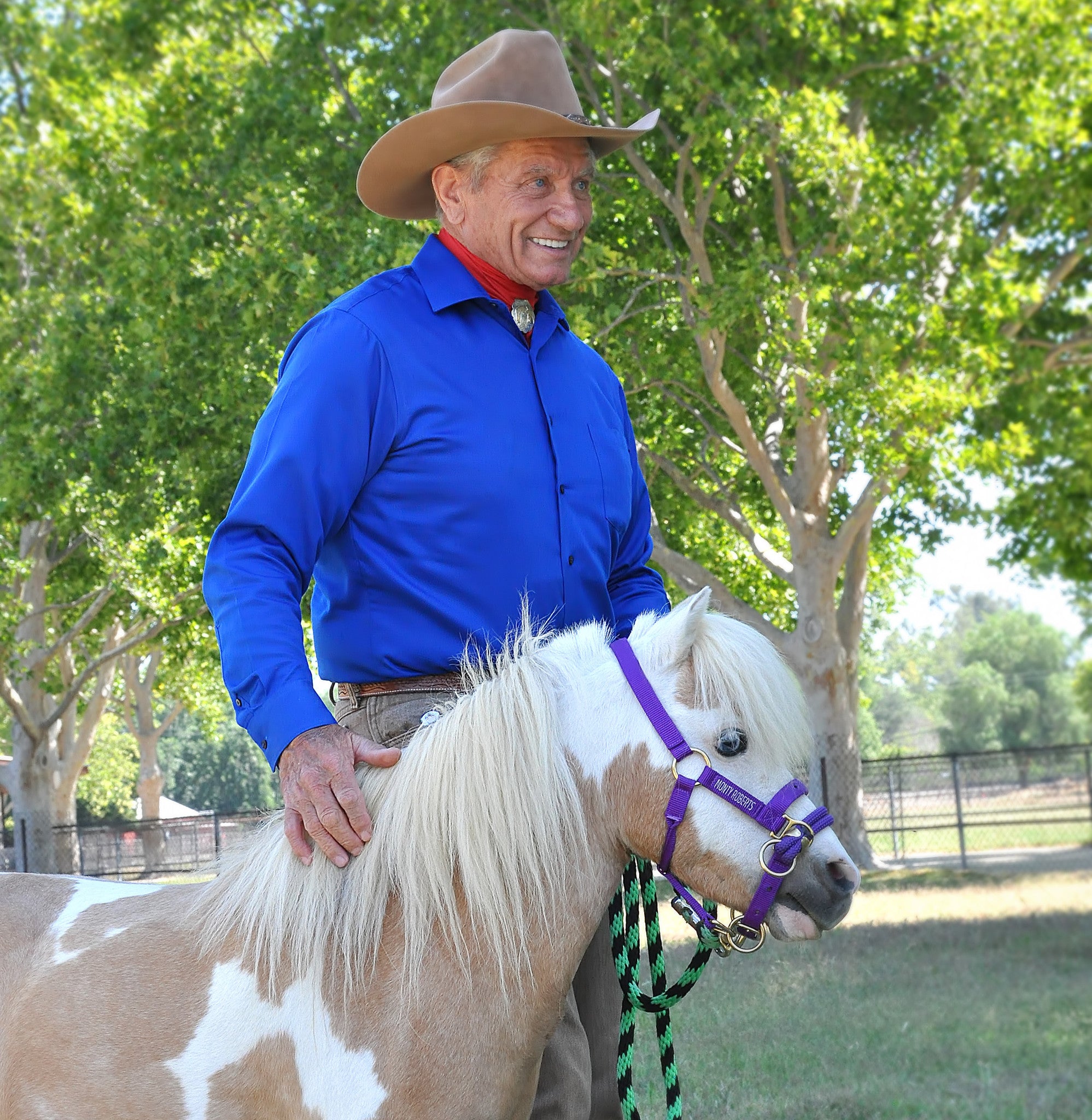 DUALLY TRAINING HALTER PURPLE MINIATURE
