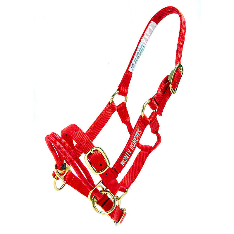 DUALLY TRAINING HALTER RED SMALL