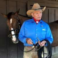 LIMITED EDITION - WESTERN BIT