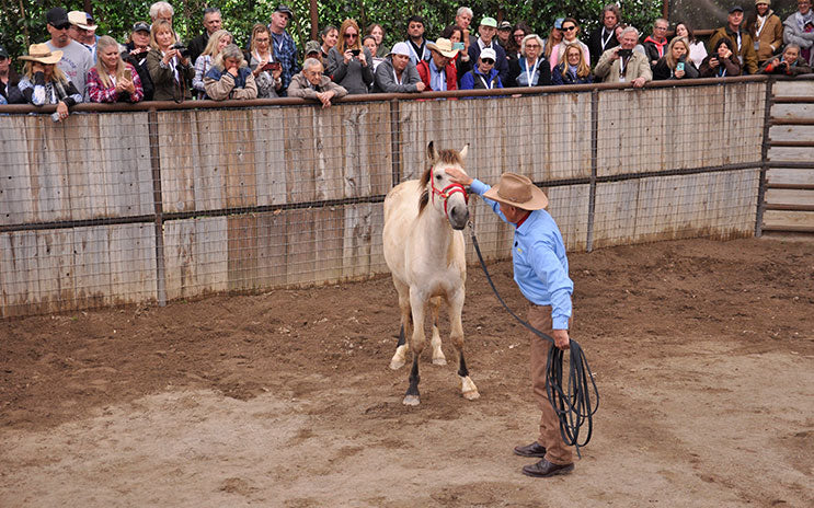 EVENTS: THE MOVEMENT 2026